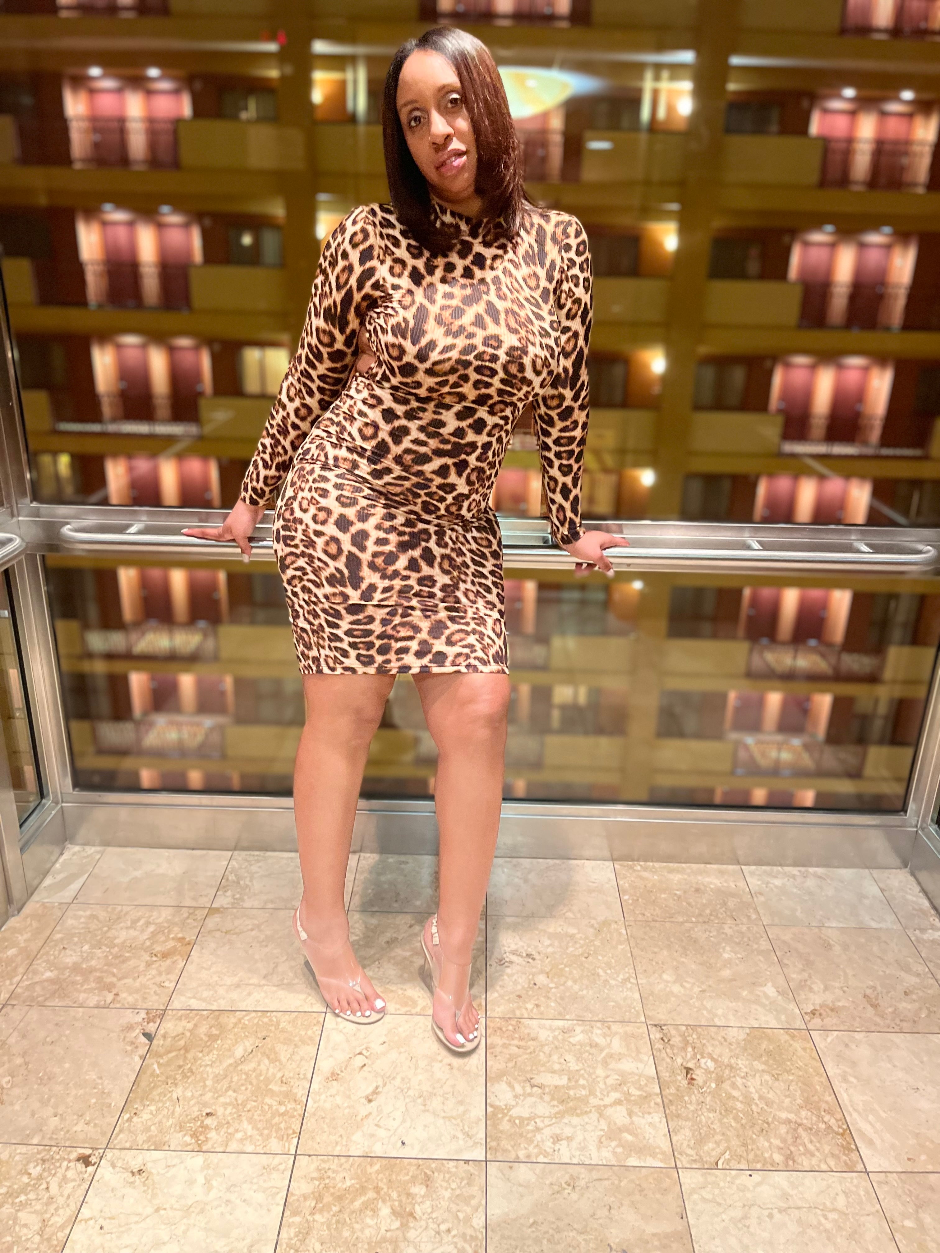 PROWLING AROUND-DRESS